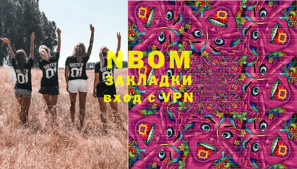apvp Алзамай