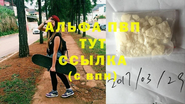 apvp Алзамай